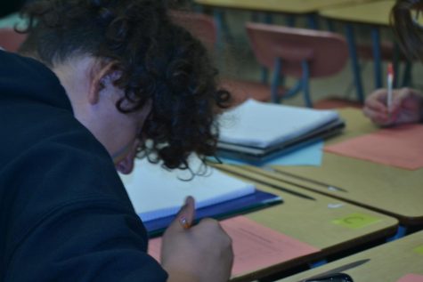 CHHS launches new Pre-AP program