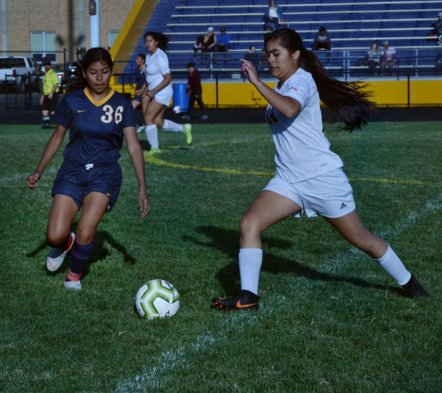 Sophomore Adriana Cardoso (36) defends during a varsity home game against Minneapolis Roosevelt.