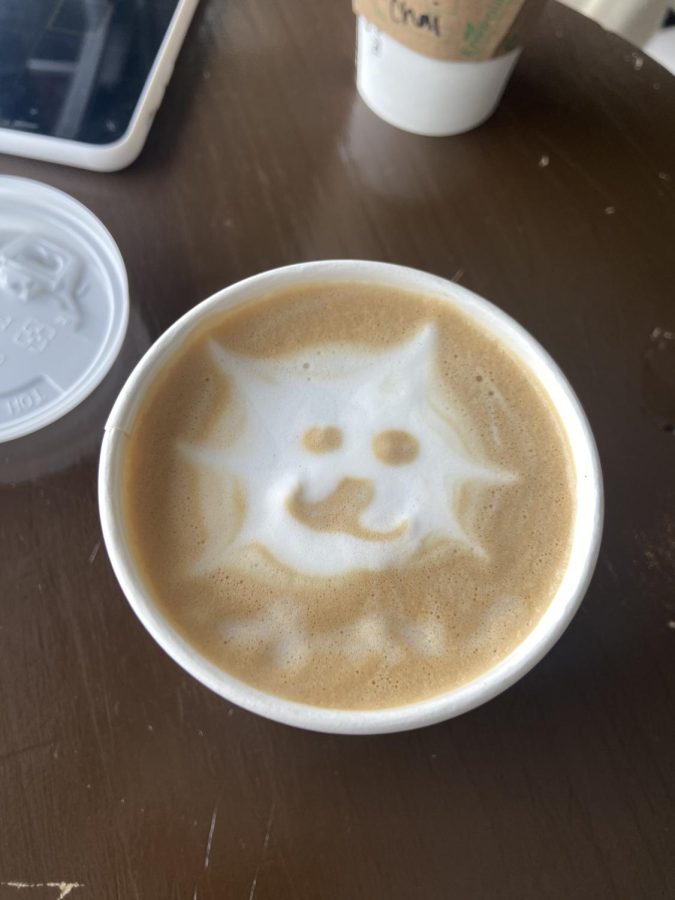 Delicious coffee with a feature of feline-centric latte art is a highlight at The Cafe Meow in Minneapolis.
