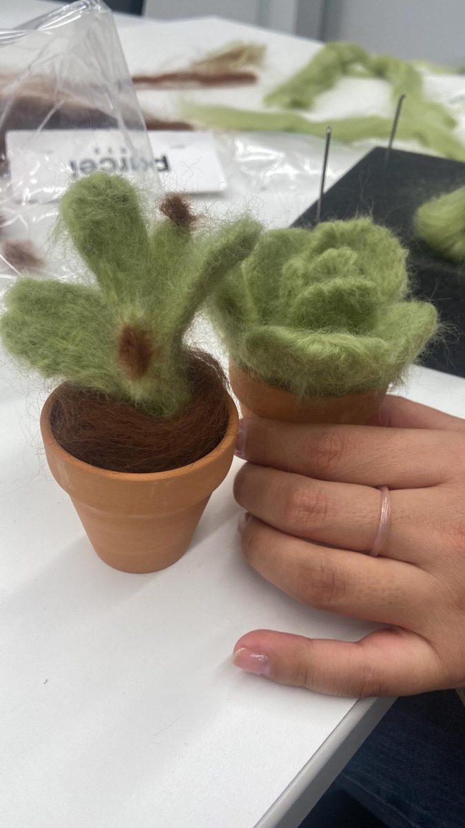 Prickly situation? Not with this felt succulent crafting class! Get ready to plant some smiles and cuteness! 

