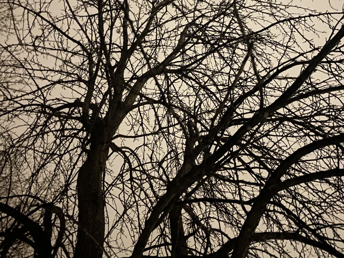 Why does the cold, snowy winter weather so often lead to seasonal depression? The Heights Herald investigates.