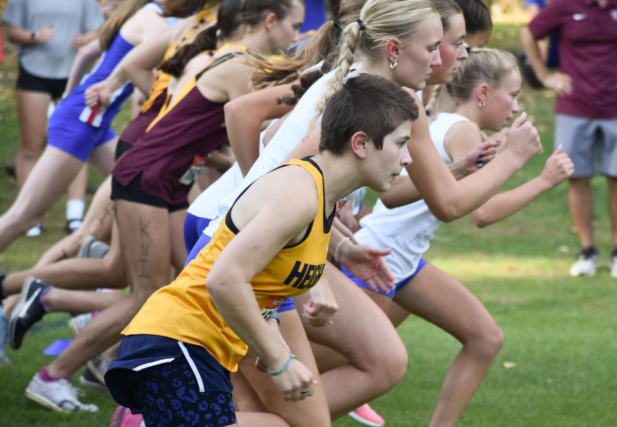 Cross country runners preparing to start.